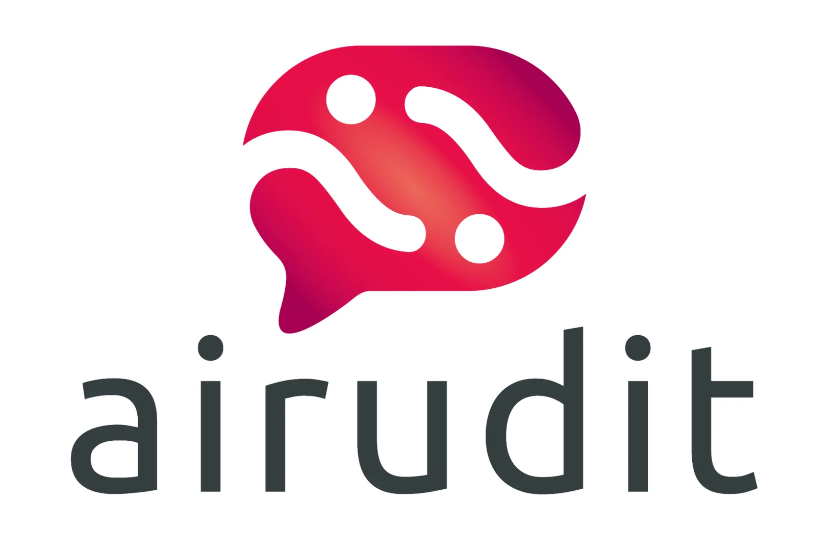 Airudit logo